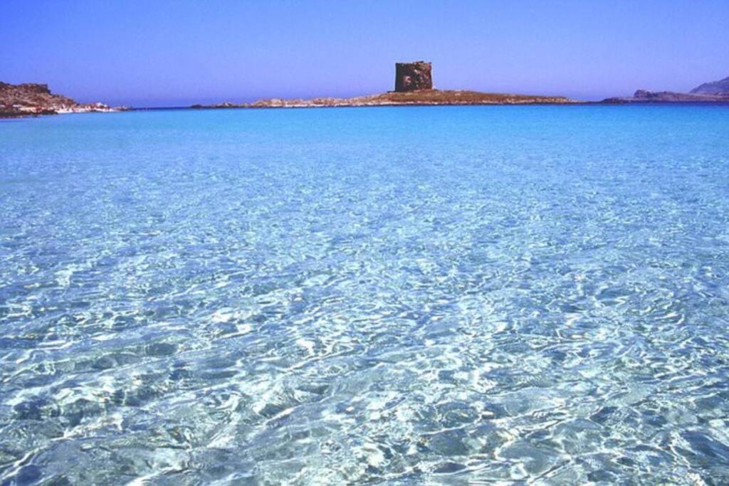 Вилла Stintino Casa Panoramica A 500 Mt Dal Mare Экстерьер фото